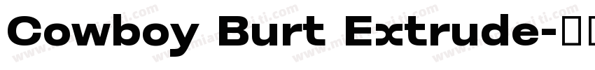 Cowboy Burt Extrude字体转换